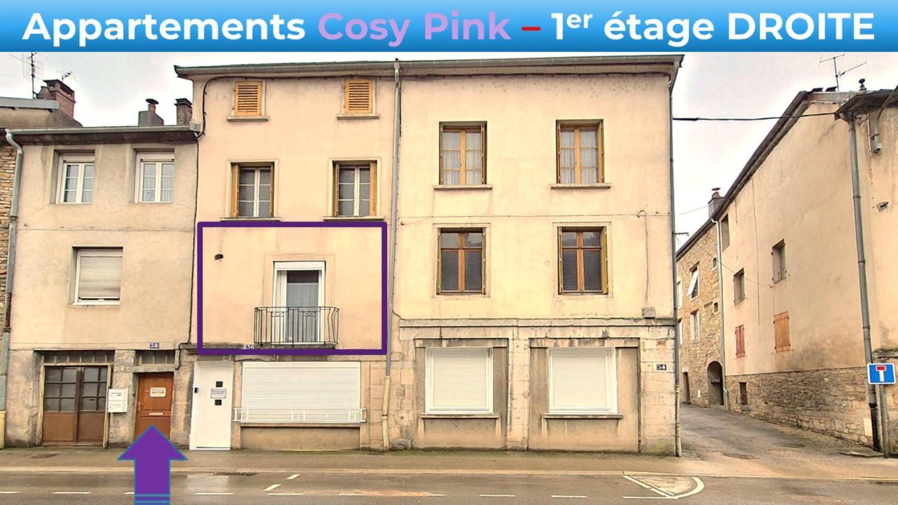 Appartement Cosy Pink Salins Les Bains エクステリア 写真